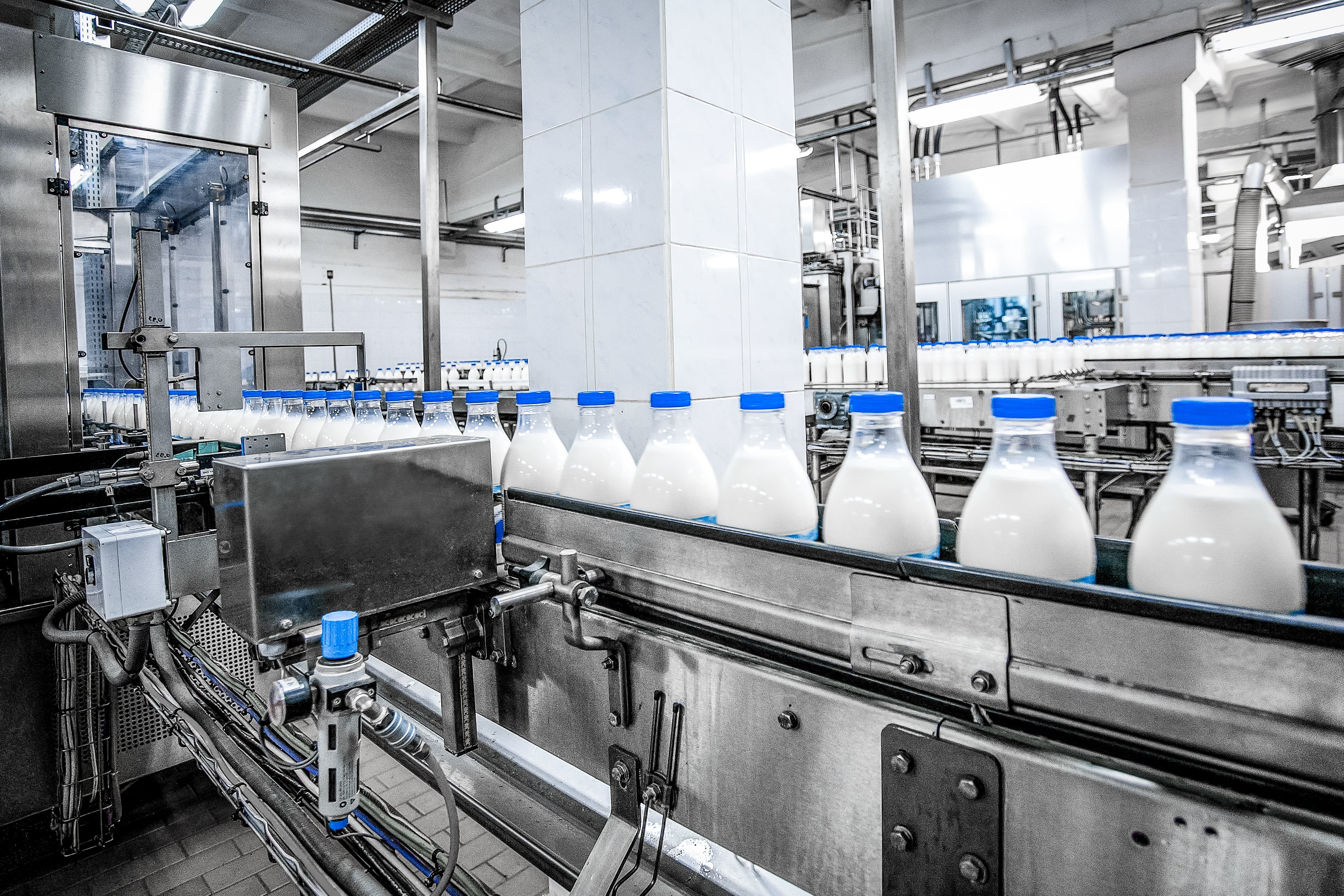 dairy manufacturing