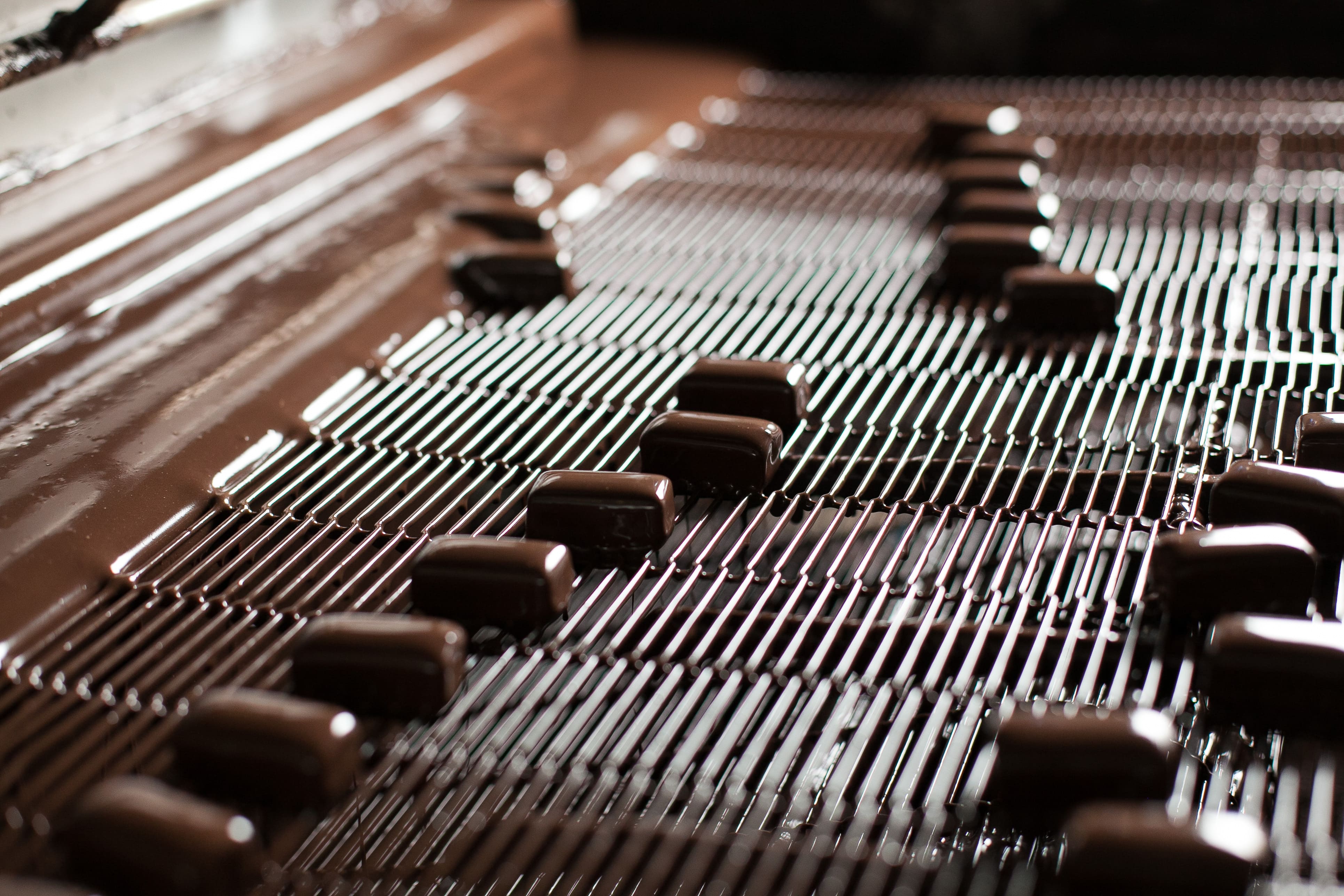 chocolate manufacturing